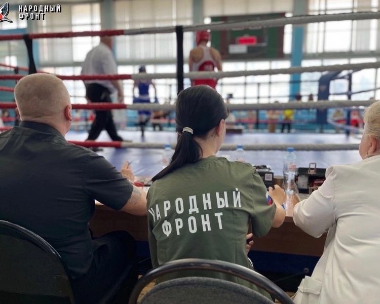     В Курской области активисты Молодёжки ОНФ помогли провести турнир по боксу