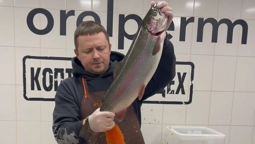   соцсети Алексей Пушкарева
