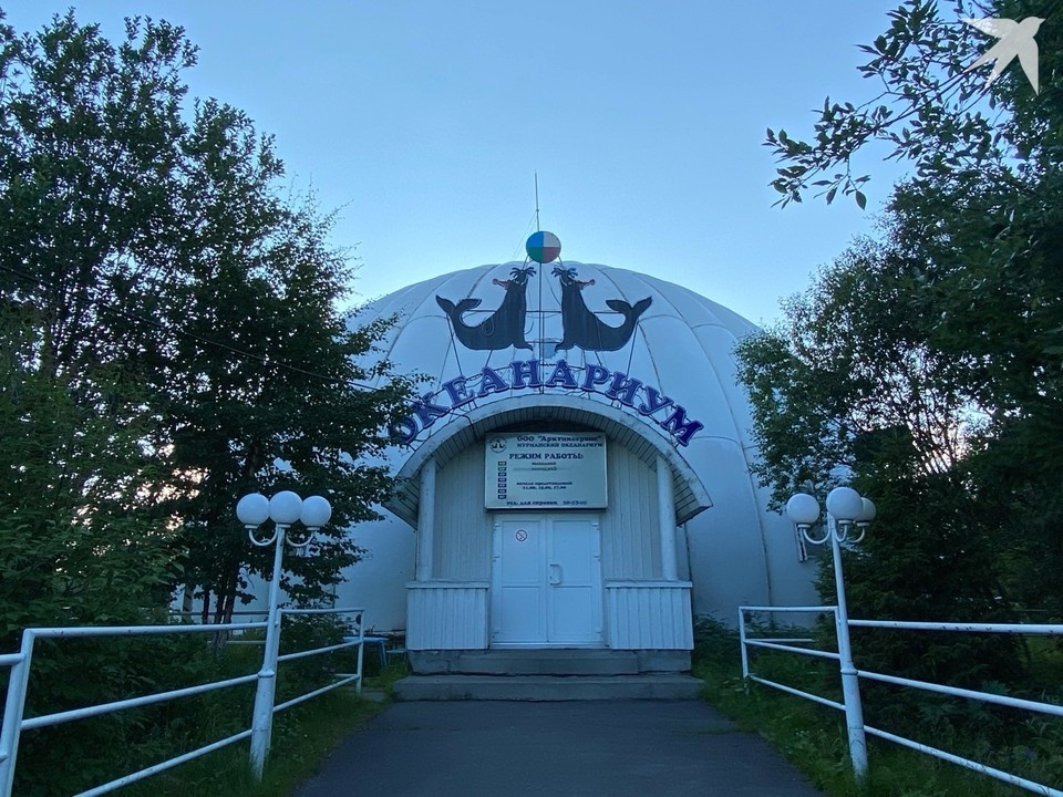    Океанариум в Мурманске находится на грани закрытия. Мария ПАШЕНКОВА