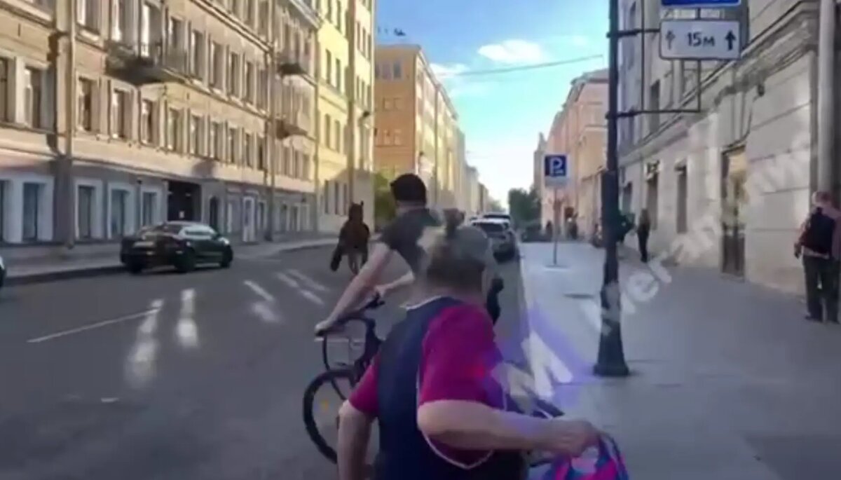    Фото: стоп-кадр видео из группы «ДТП и ЧП | Санкт-Петербург | Питер Онлайн | СПб» в соцсети «ВКонтакте»