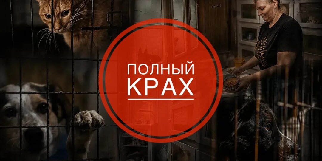 Посты в блок из-за названий лека..рств, а мы с голоду скоро исчезнем!