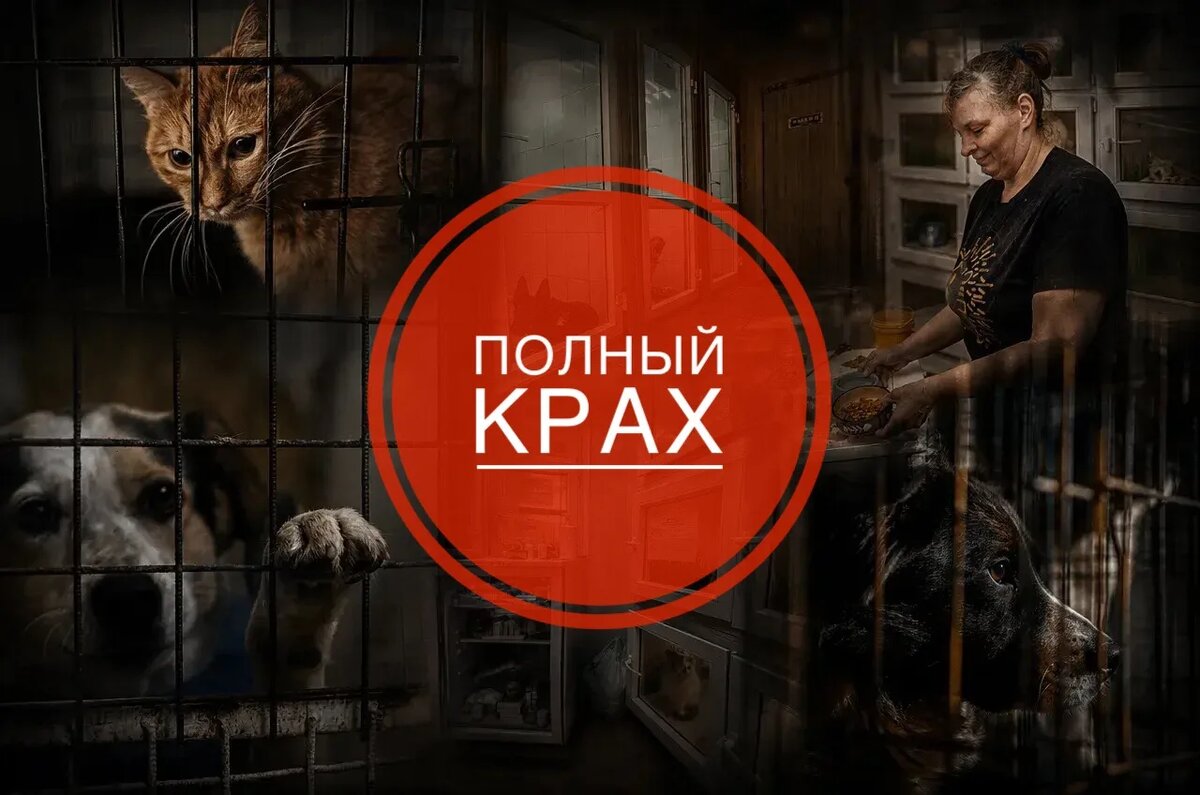 Нам их НЕ СПАСТИ в одиночку! Помогите ВЫТЯНУТЬ!