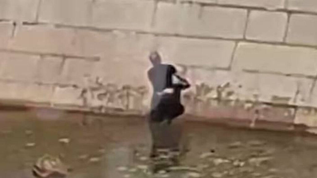    Фото: кадр из видео, соцсети