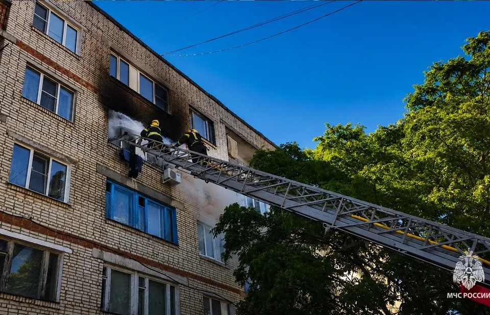    При пожаре в пятиэтажке спасли 31 человека и двух кошек, а ребенка вынесли на руках в Ефремове Тульской области материалы пресс-служб