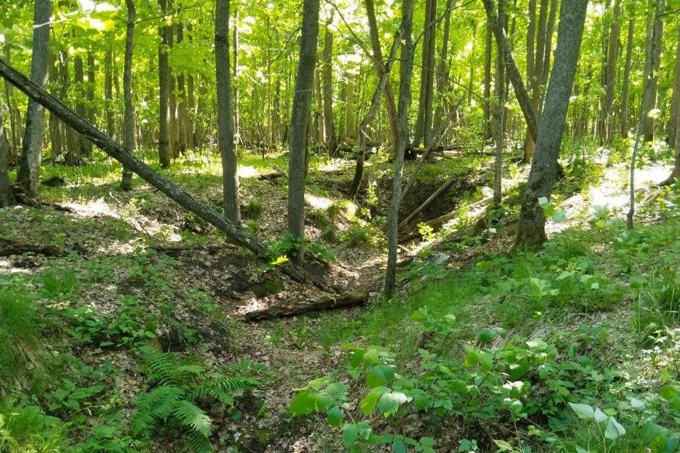    На месте подземной церкви остался только овраг. Фото: предоставлено "КП-Самара"