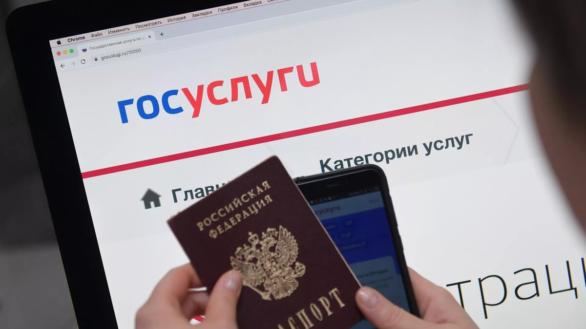 Портал Госуслуги/© Sputnik / Владимир Трефилов