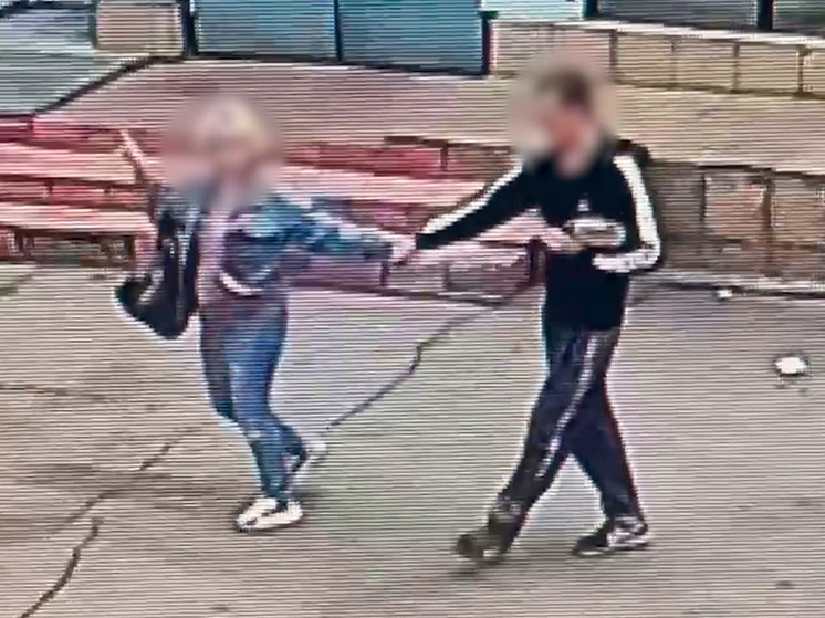    фото: скриншот из видео / Официальный канал Управления МВД России по Липецкой области