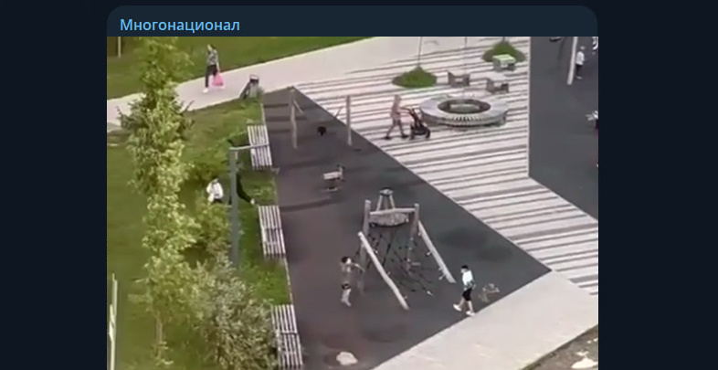 Фото: Telegram-канал "Многонационал"