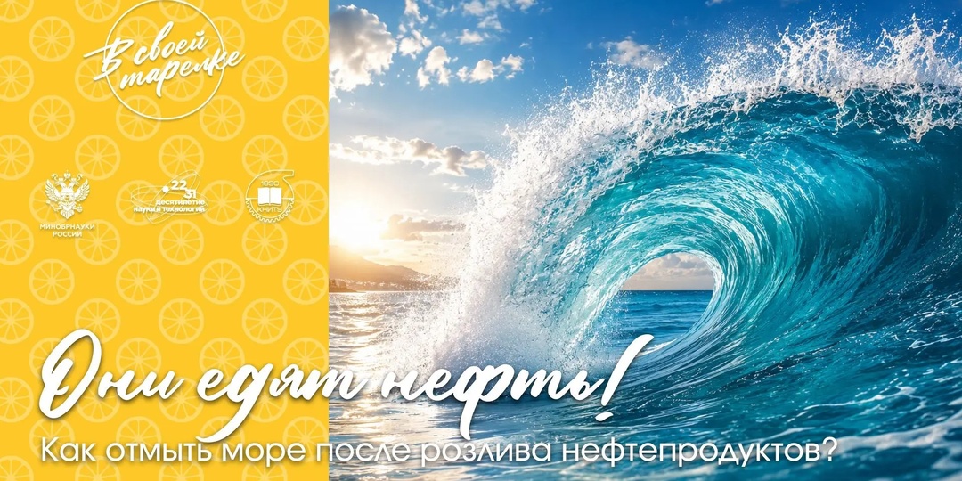 Они едят нефть! Как отмыть море после розлива нефтепродуктов?
