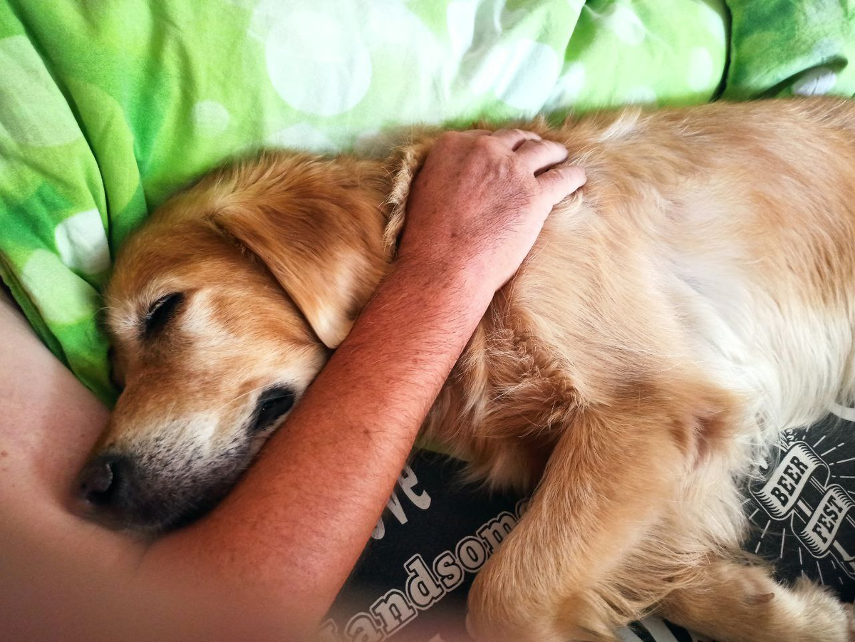 Ляля под боком у Эдика