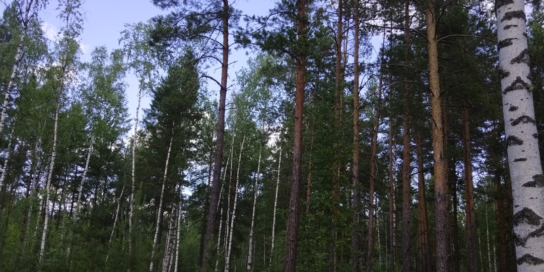 Неприятная находка