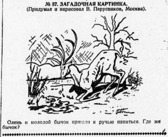 Звездная пыль на ладошках Загадка
