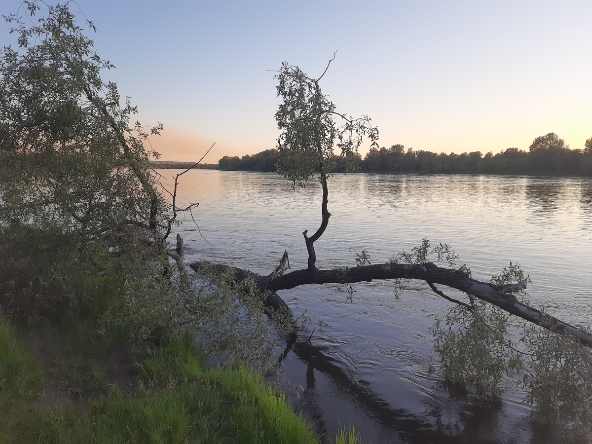 Река Чулым