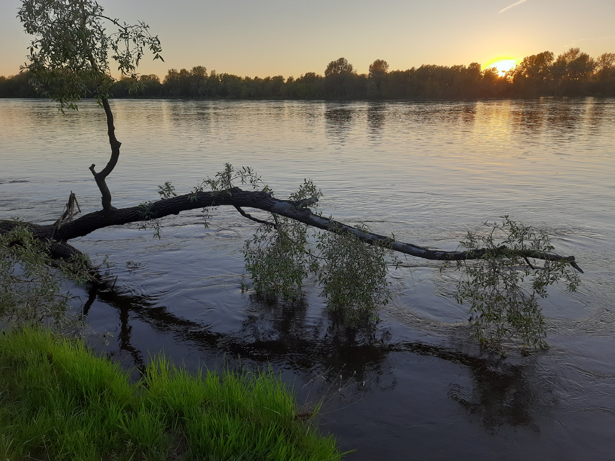 Река Чулым