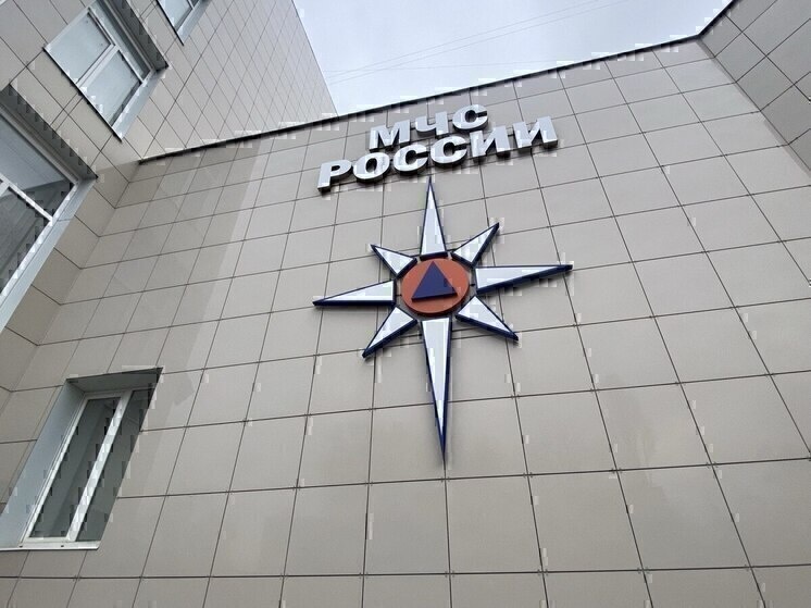     МЧС сообщило уточненную информацию о возгорании в белгородском ТРЦ, фото: МК в Белгороде