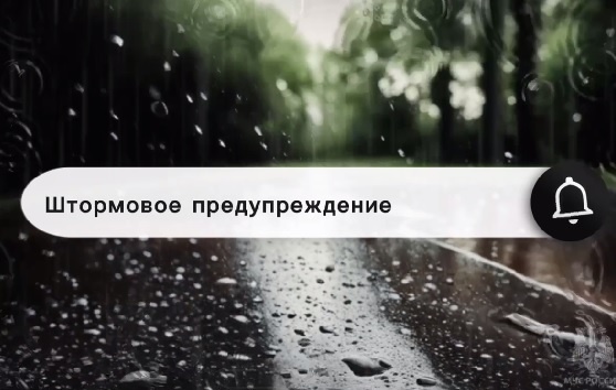    На фото стоп-кадр видеоматериала МЧС Редактор