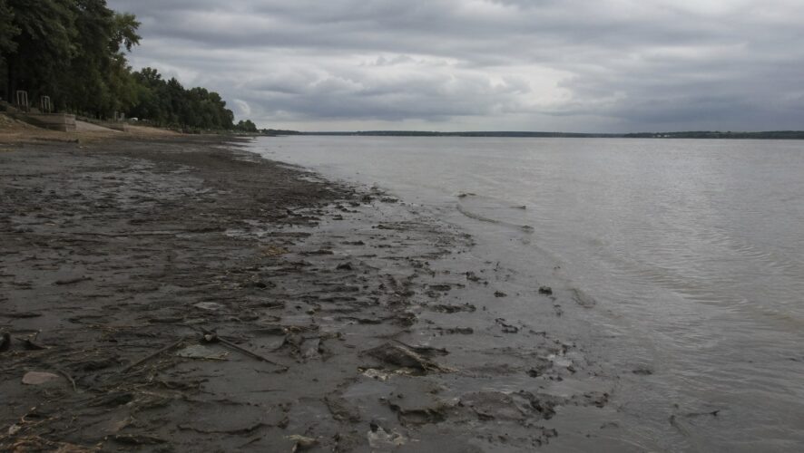    Фото: создано ИИ