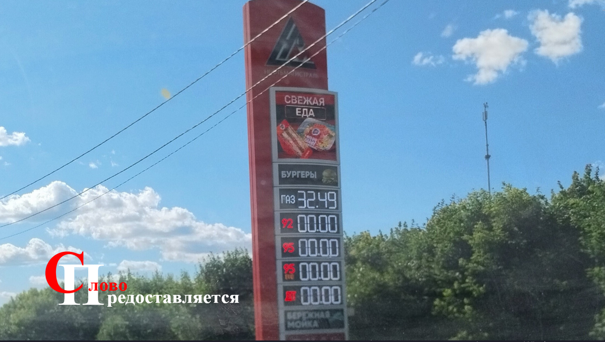 Фото автора канала "Слово предоставляется".