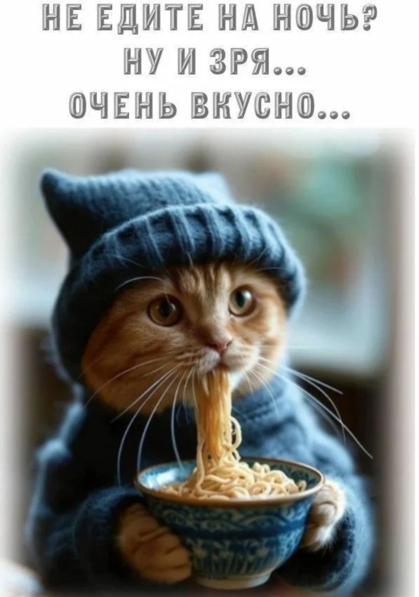Котик, --взято из интернета с целью ознакомления. 