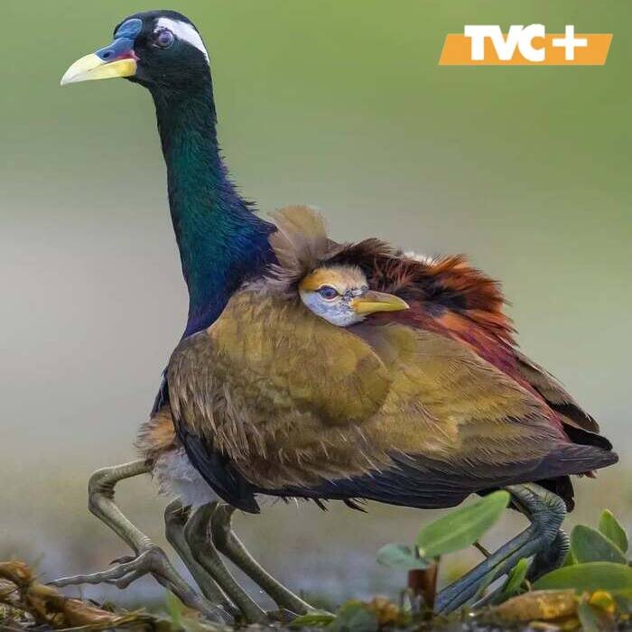 -1-3