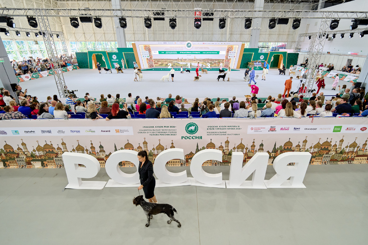 Как прошла выставка «Россия 2026» в КВЦ «Патриот»