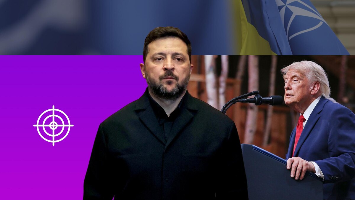 Коллаж 78.ru: Dts Nachrichtenagentur; Pierre Teyssot; Presidential Office of Ukraine/globallookpress.com,flaticon.com/ Freepik