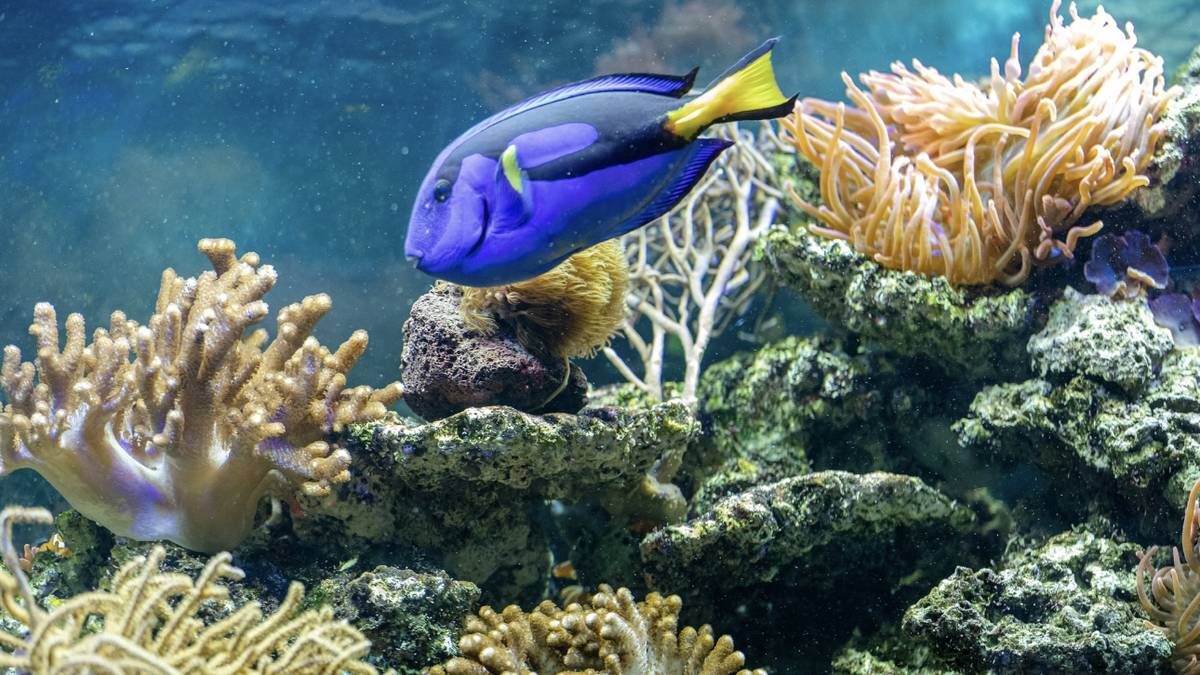    Фото: Shutterstock