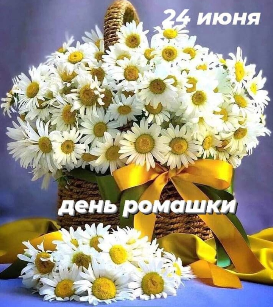 Фото из свободного доступа интернета