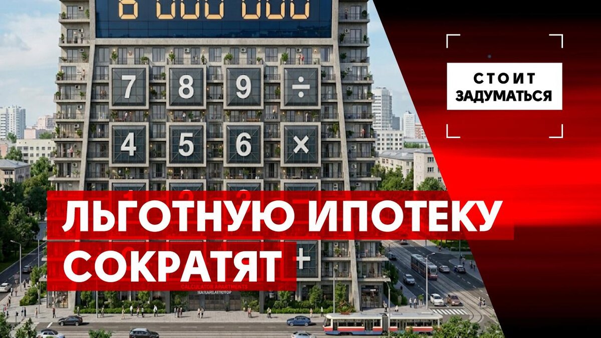    Фото: Общественная служба новостей
