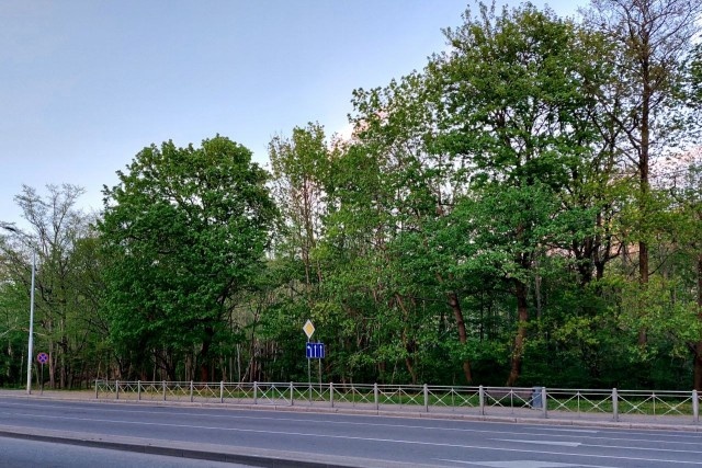   Фото из архива Калининград.Ru