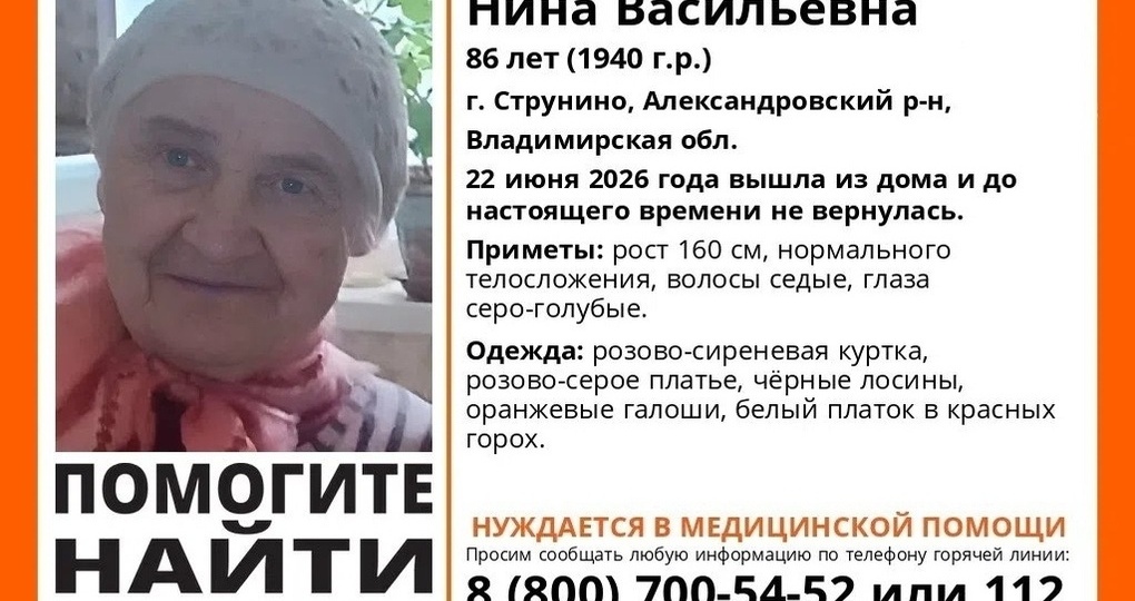 Во Владимирской области бесследно исчезла нуждающаяся в медпомощи пенсионерка