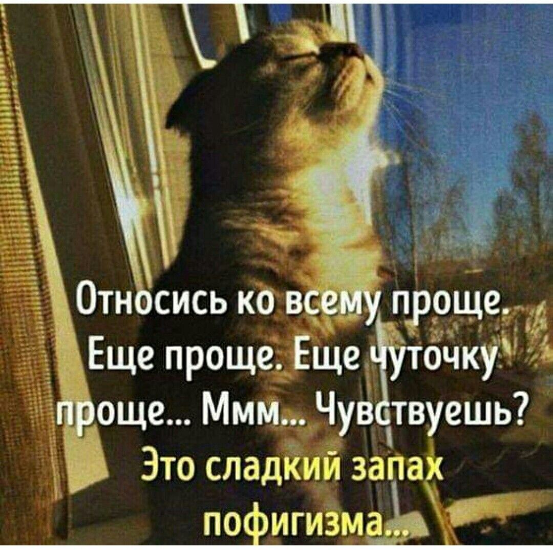 источник Яндекс-картинки