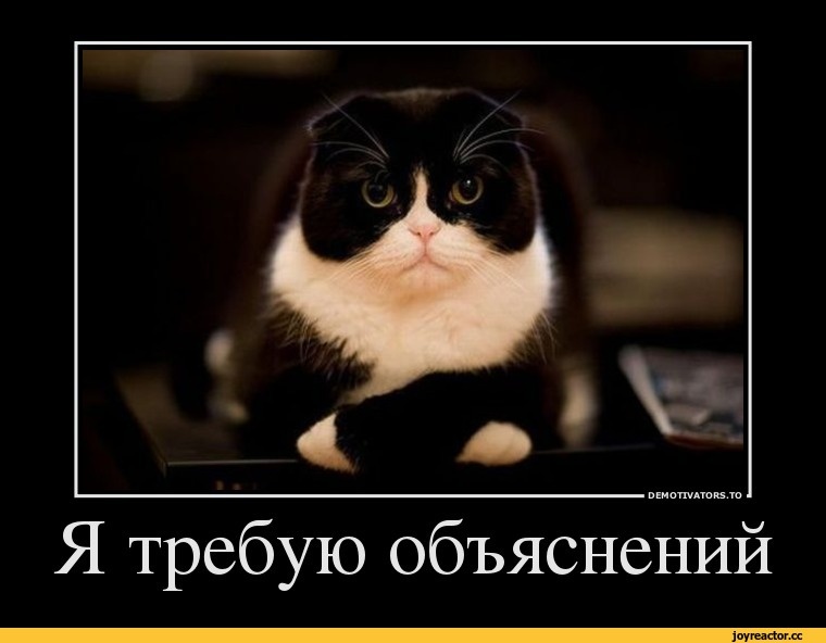 источник Яндекс-картинки