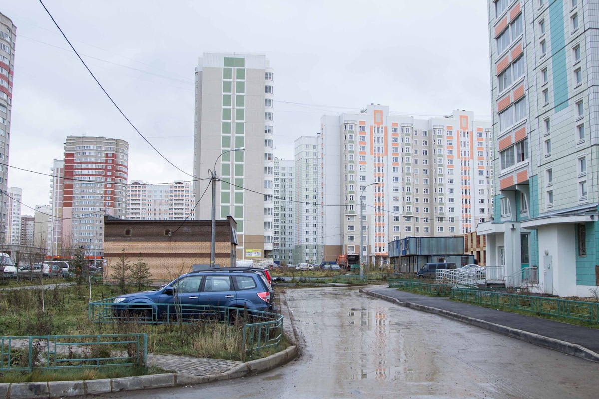    Фото: Общественная служба новостей