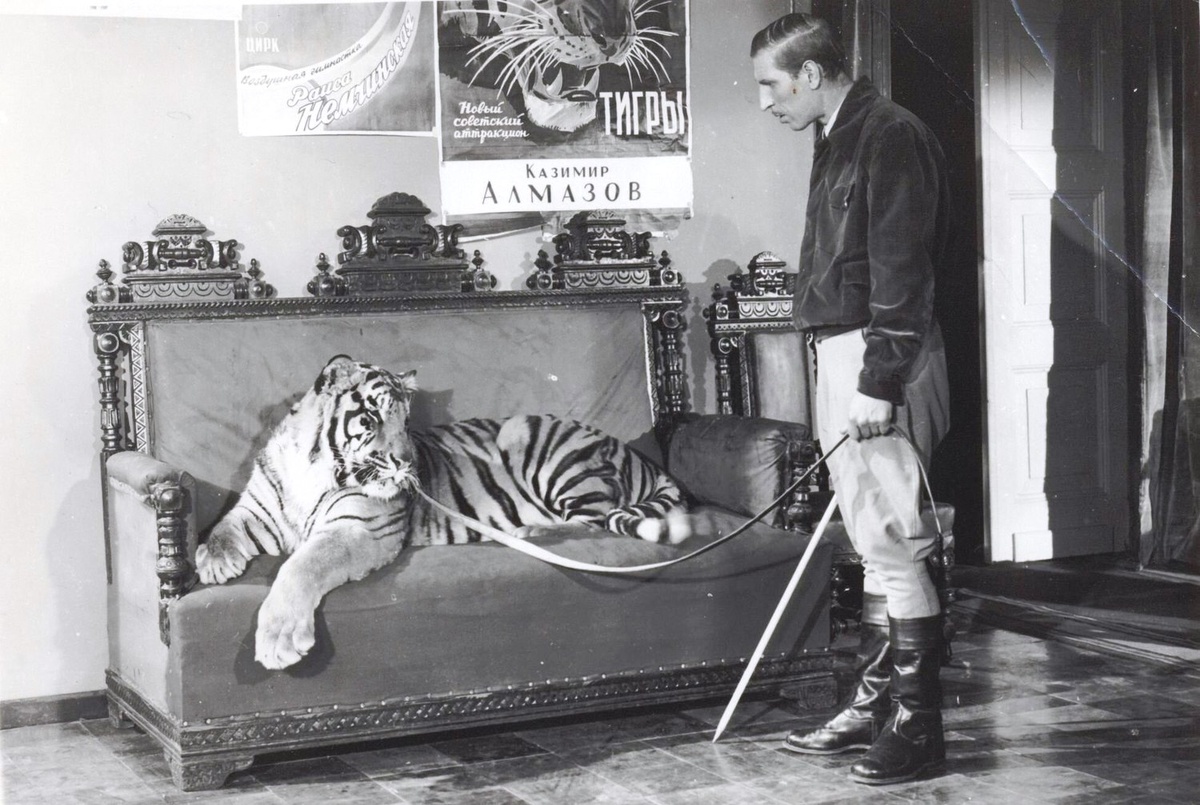 "Укротительница тигров" (1954).