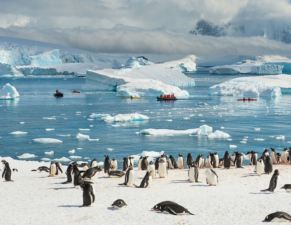 Антарктида (источник russiadiscovery.ru)