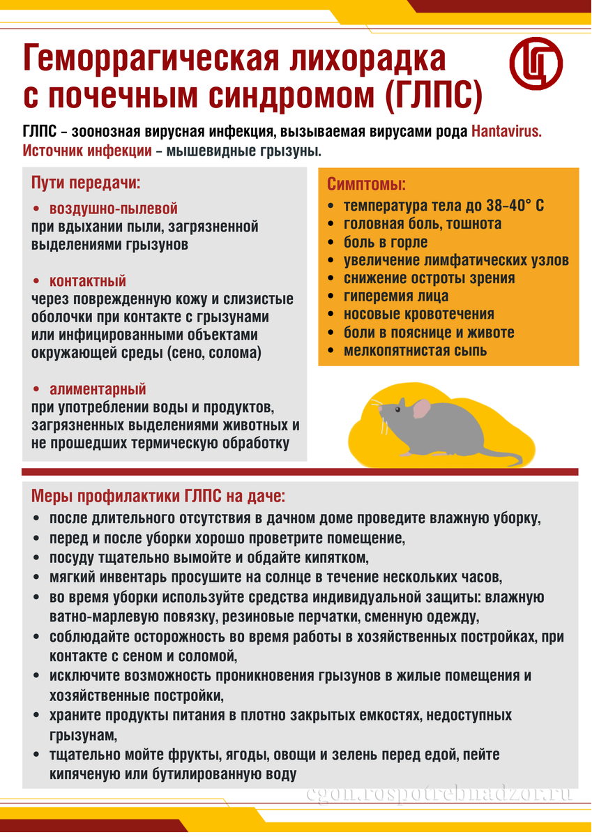 ГЛПС/Памятка разработана специалистами ФБУЗ "Центр гигиенического образования населения" Роспотребнадзора