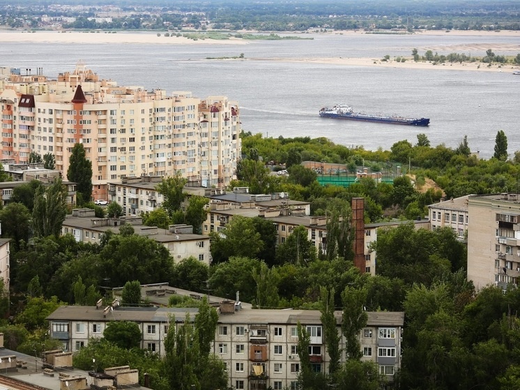     © Фото: ИД «Волгоградская правда» / Кирилл Брага