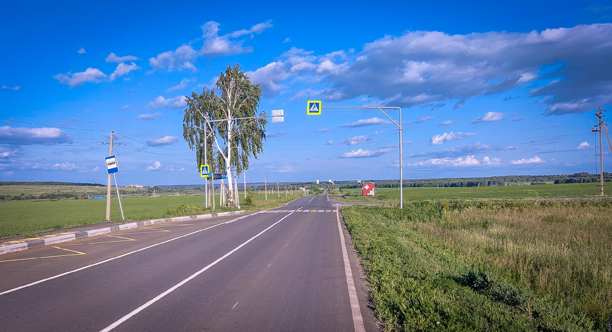 Дорога до Пайгармы.
