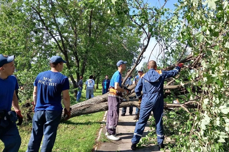    Специалисты занимаются уборкой города от упавших деревьев. Фото: пресс-служба ГУ МЧС России по Свердловской области