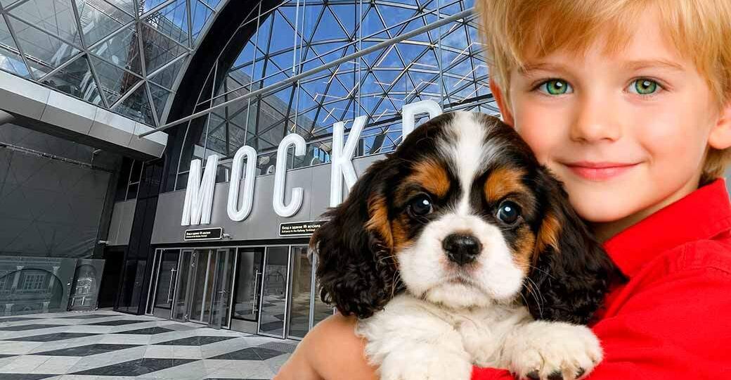 Вокзалы РЖД между зоопарком и яслями. Железнодорожники и Минтранс расширяют зоны для пассажиров с детьми и животными