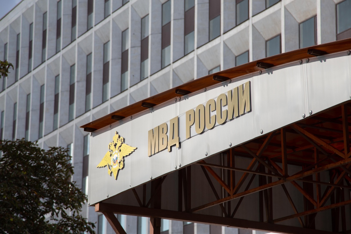    Фото: Общественная служба новостей