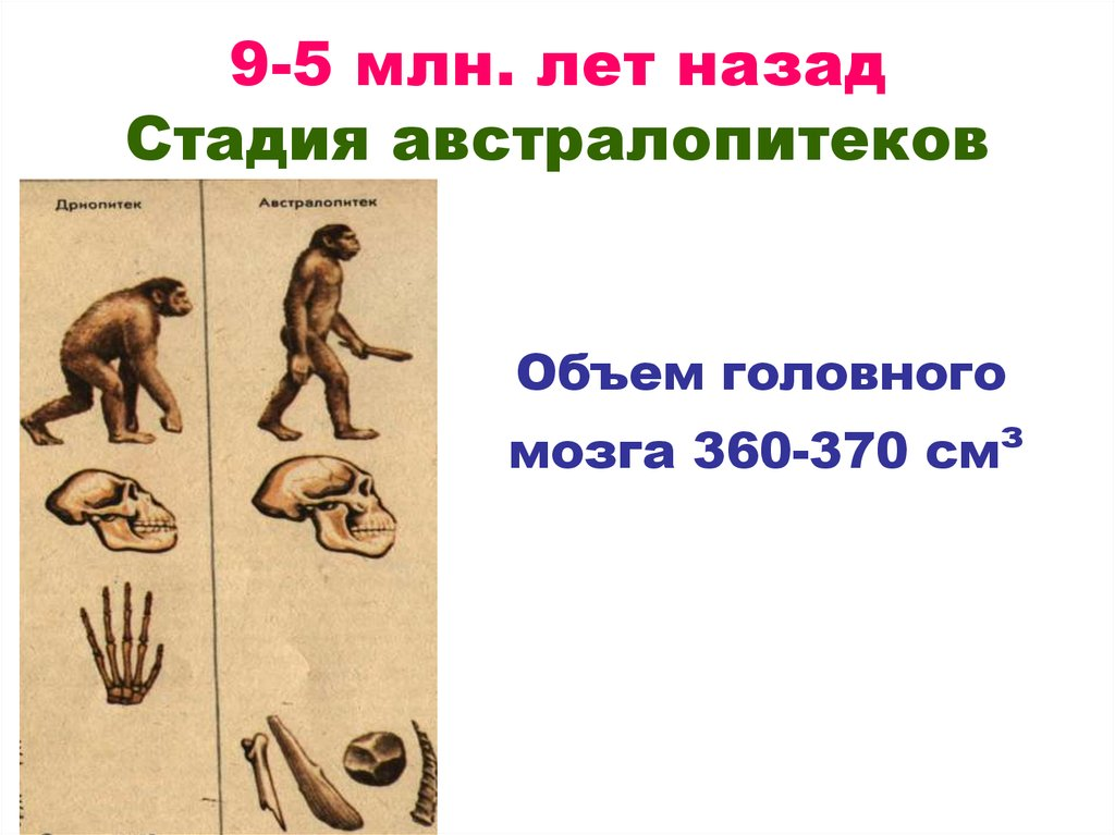 источник рисунка https://ppt-online.org/376040