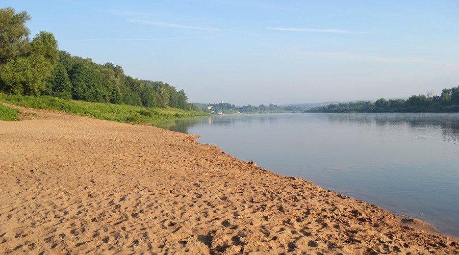 Яндекс. Картинки. 