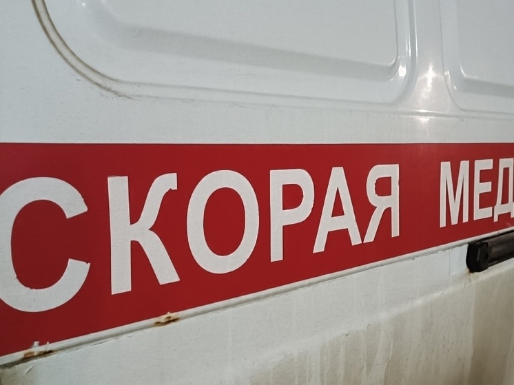     Фото: «МК Липецк»