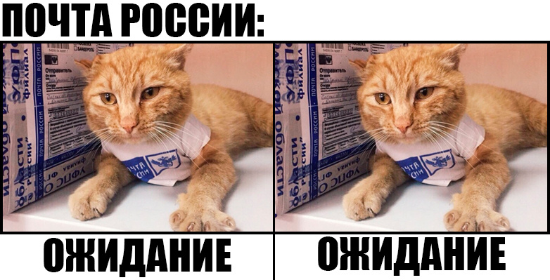    Фото: соцсети