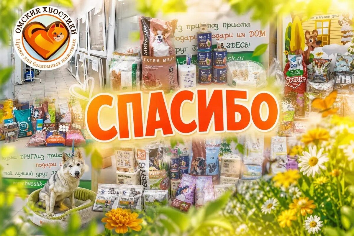 Благодаря вам наши подопечные сыты. 