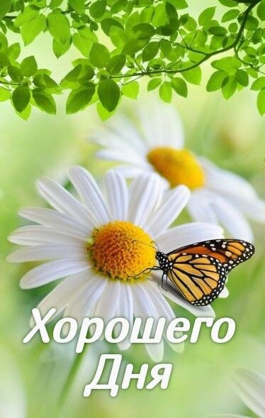 Фото из открытого источника в интернете.