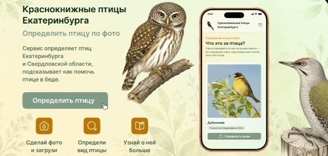 Определить птицу и понять, как помочь: опубликовано новое приложение на портале «Наш Урал и весь мир»!