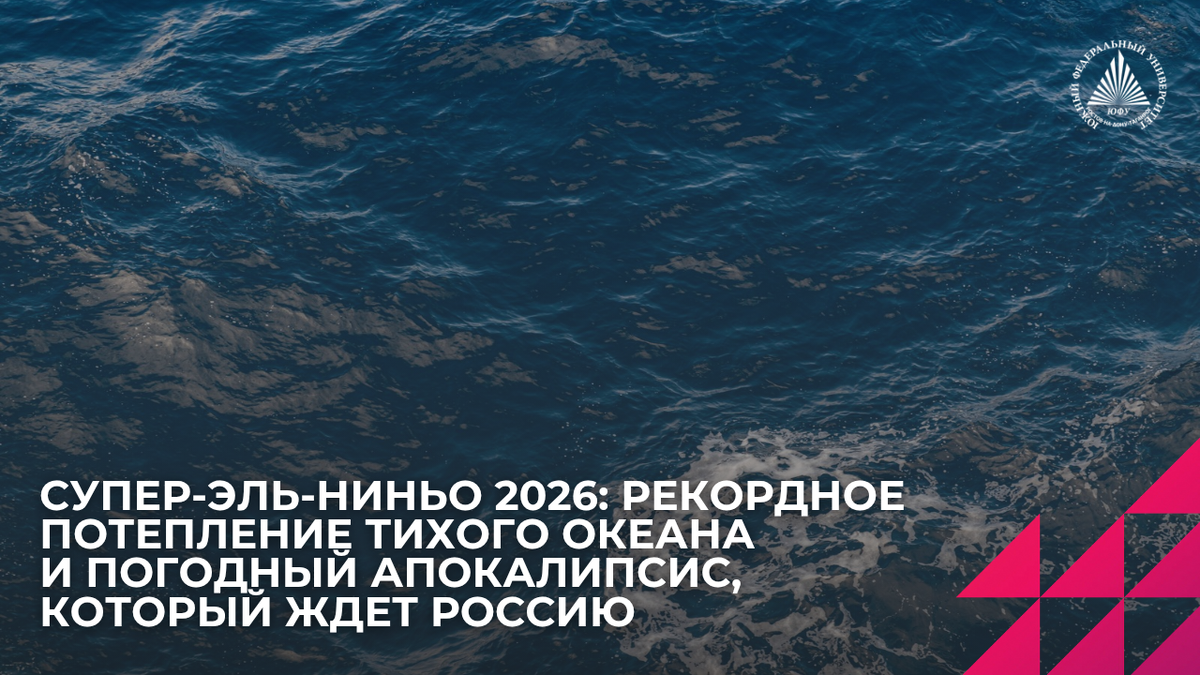Источник: magnific.com